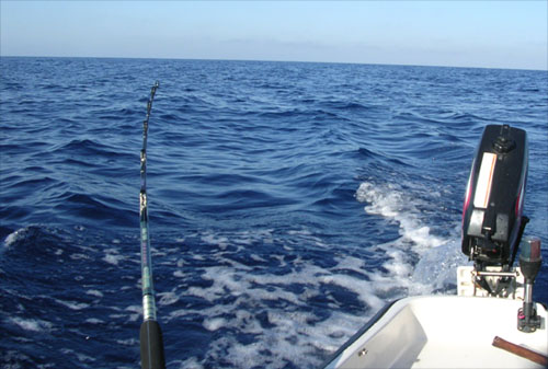 Trolling for Albacore in Filfla