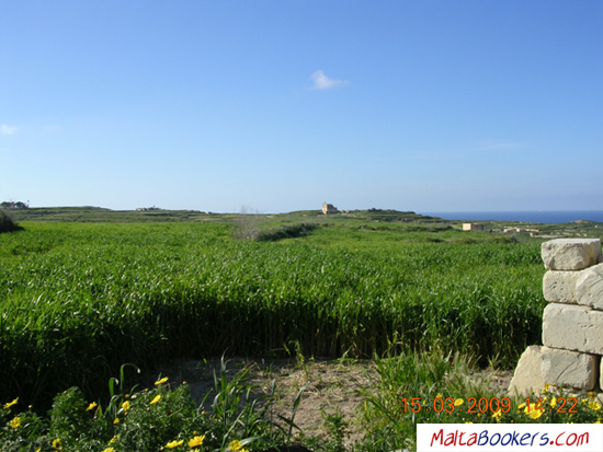 Walking in Gozo